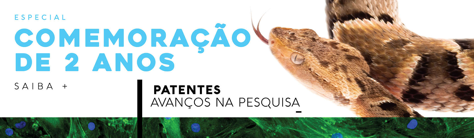 CENTD comemora 2 anos
