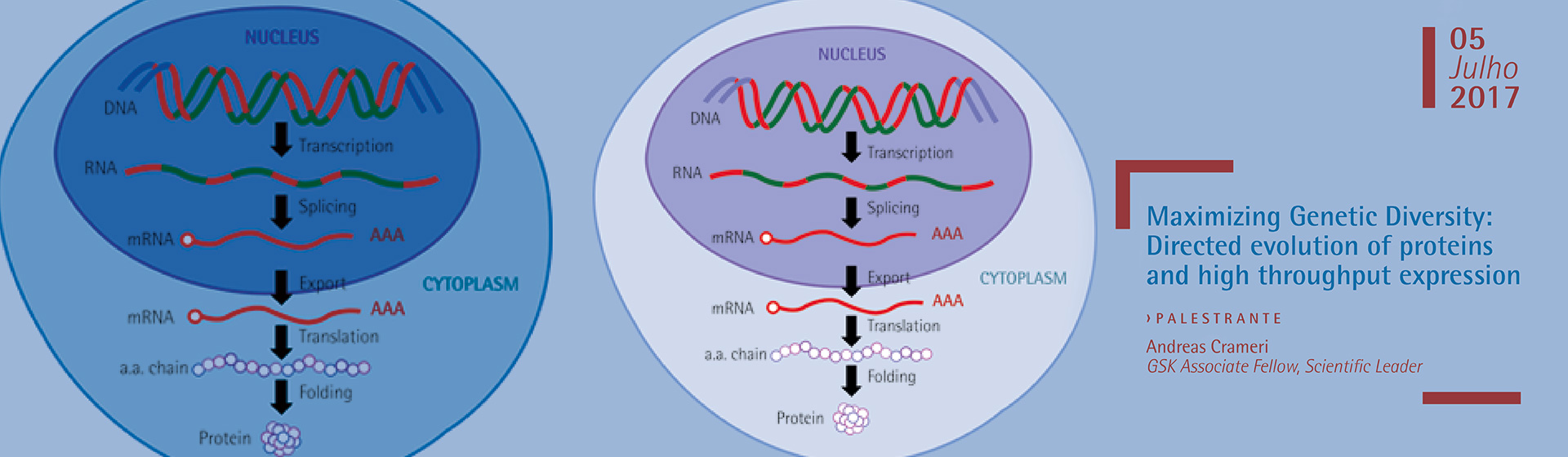 Seminário: “Maximizing Genetic Diversity: Directed evolution of proteins and high throughput expression”