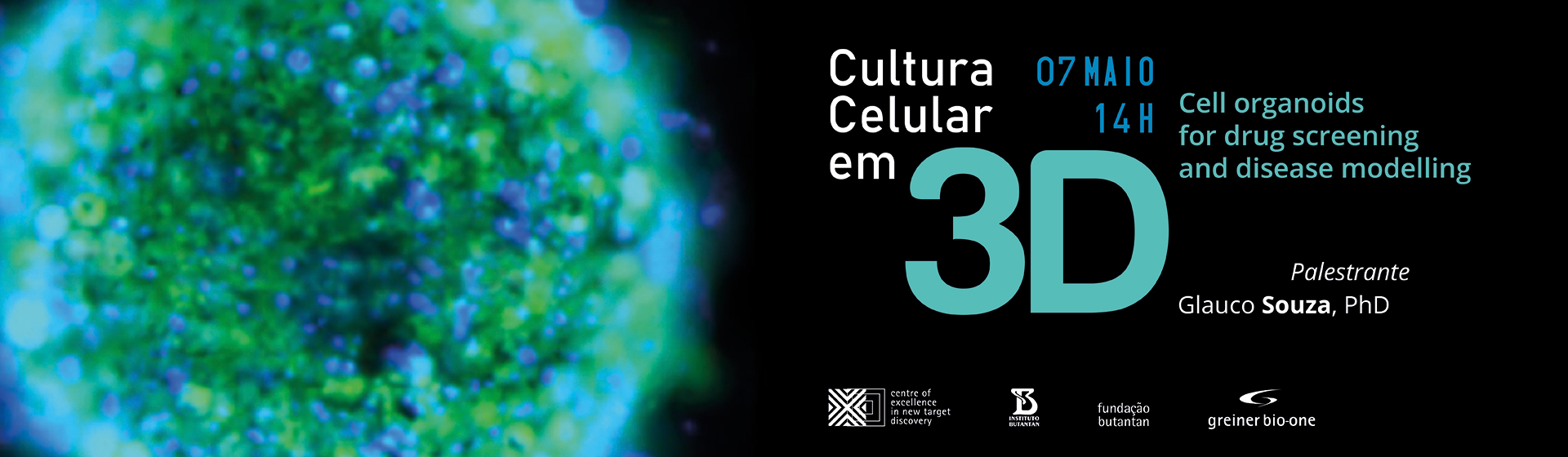 Cultura celular em 3D - Cell organoids for drug screening and disease modelling