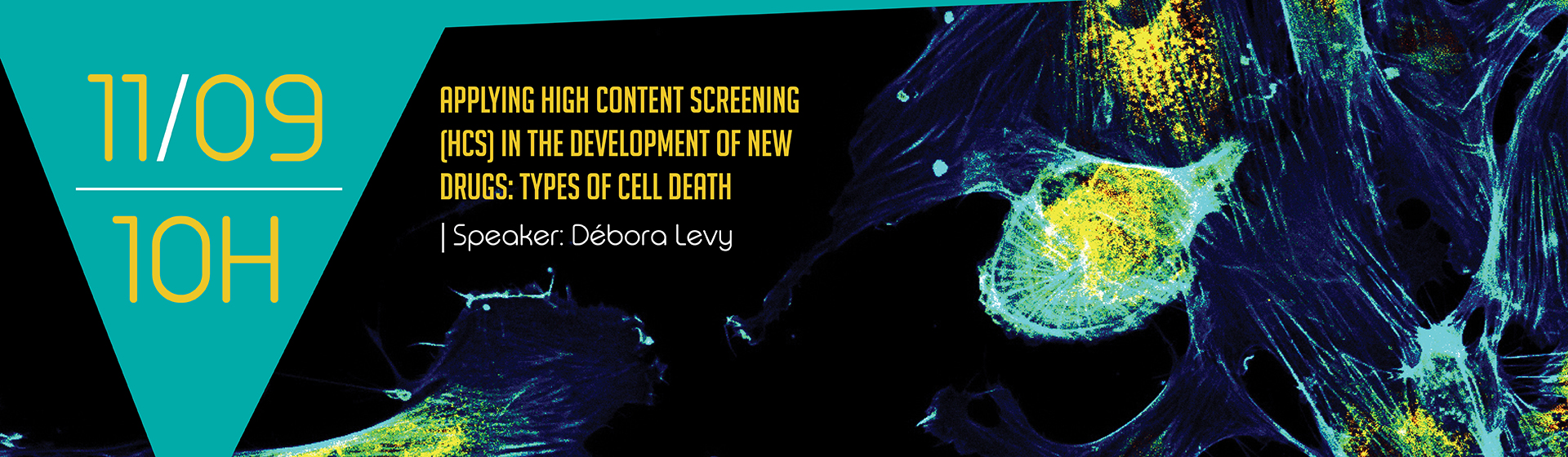 Applying High Content Screening (HCS) in the development of new drugs: types of cell death and signaling pathways
