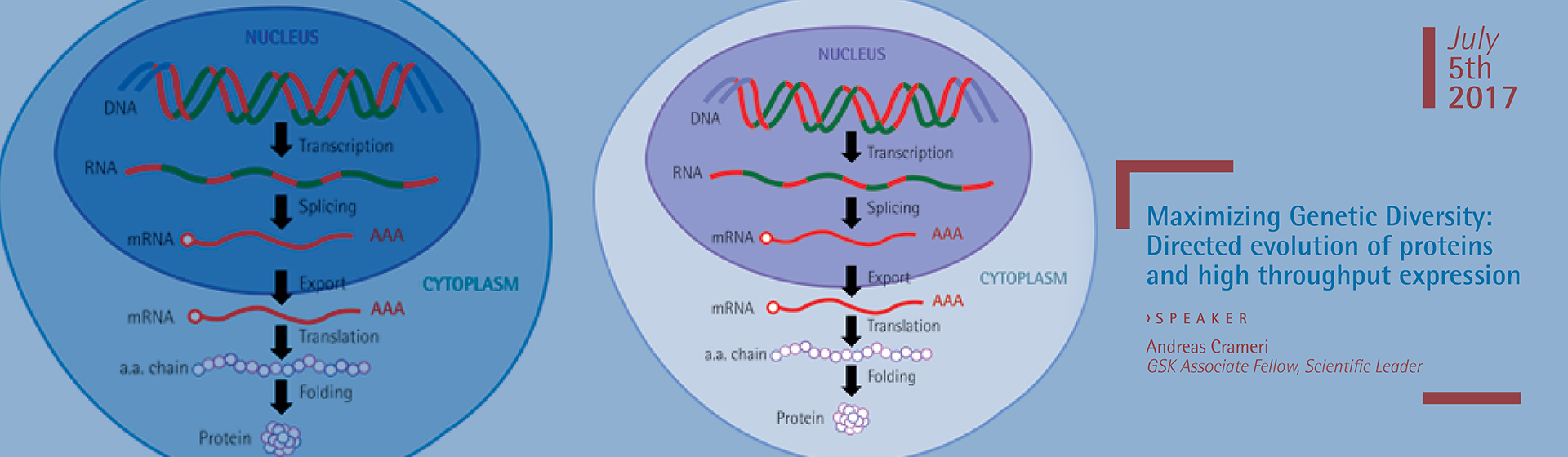 Lecture: Maximizing Genetic Diversity: Directed evolution of proteins and high throughput expression