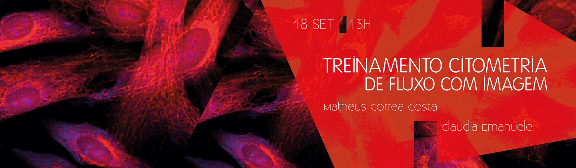 Training Flow Cytometry with Image