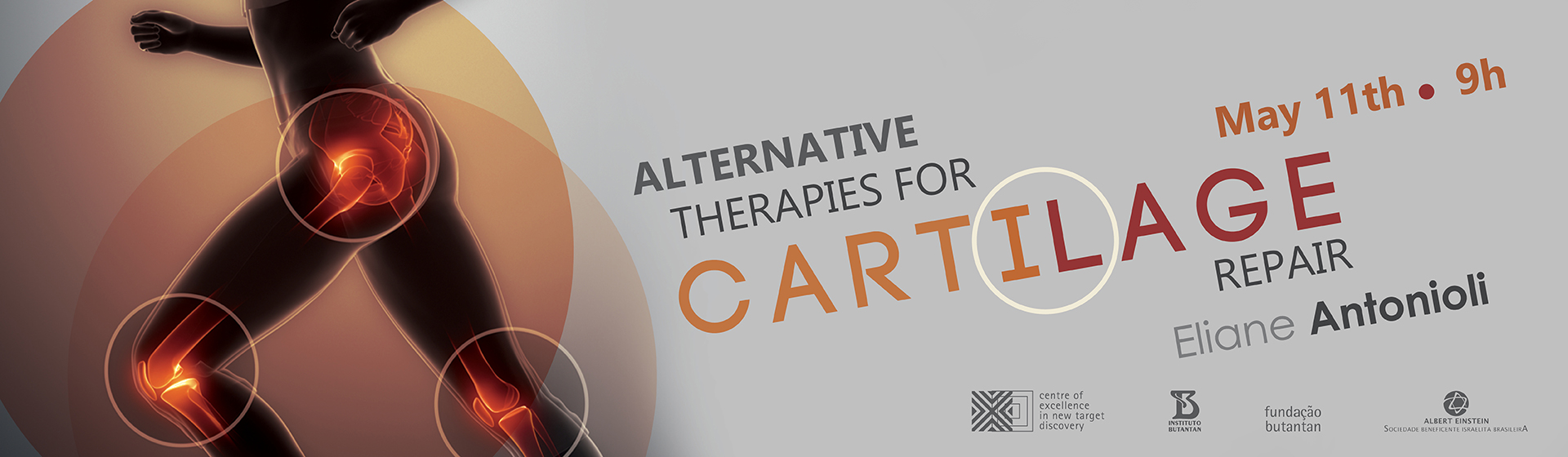 Lecture: Alternative therapies for cartilage repair
