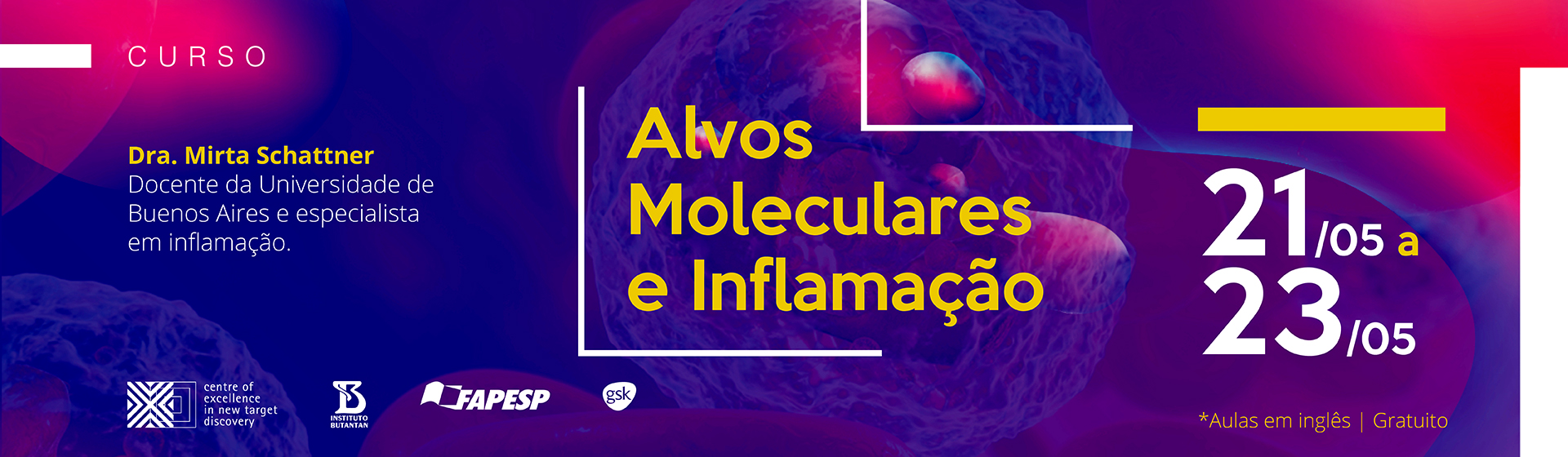 Curso: Alvos moleculares e inflamação