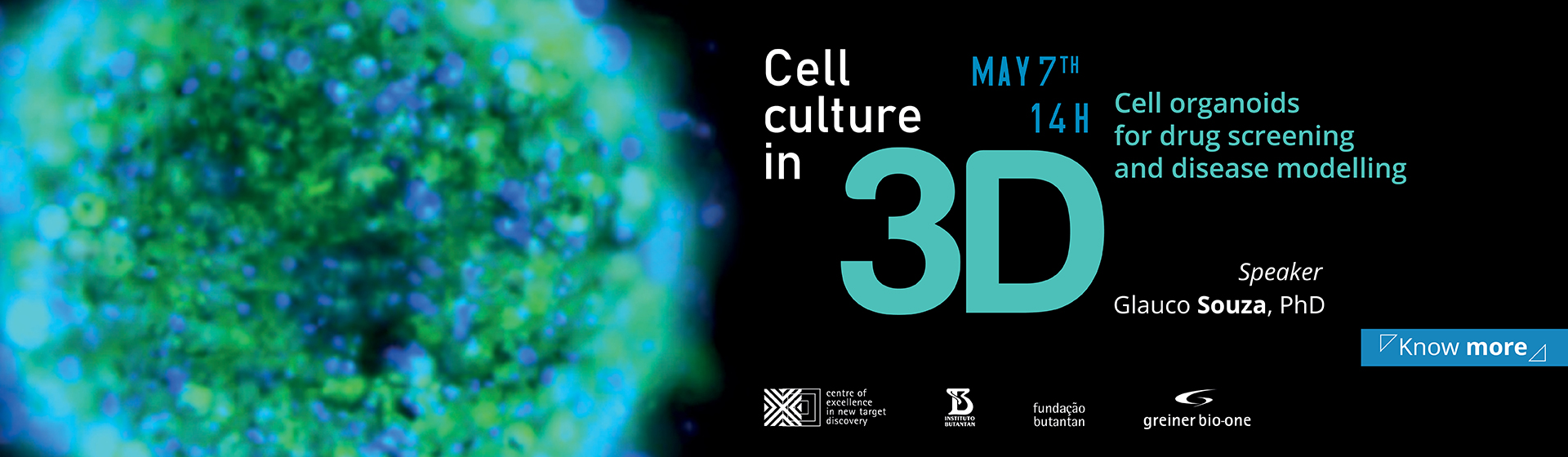 Cell culture in 3D 