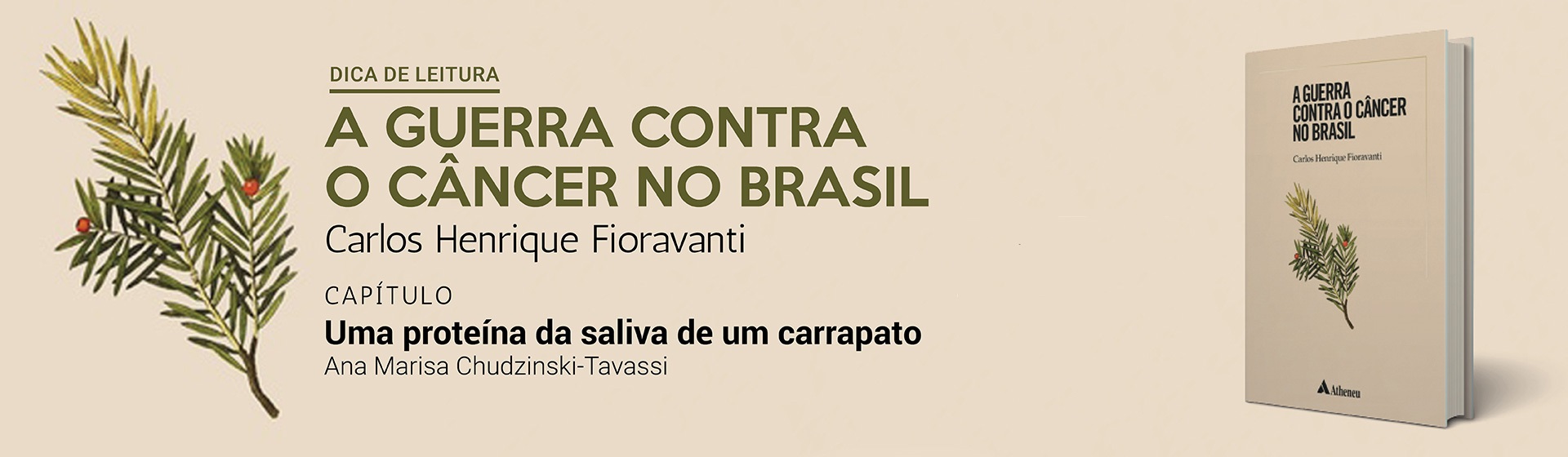 A guerra contra o câncer no Brasil - Carlos Henrique Fioravant