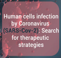 Human cells infection by Coronavirus (SARS-Cov-2): Search for therapeutic strategies